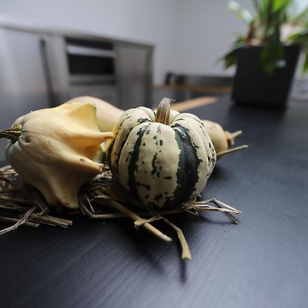 !!!Uniek!!! Rijksmonument Centrum Harlingen Ngoại thất bức ảnh